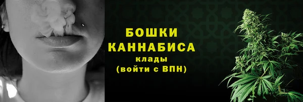 стаф Горняк