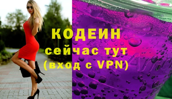 стаф Горняк