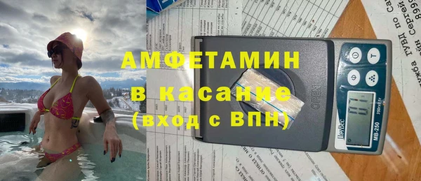стаф Горняк