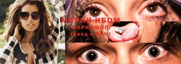 стаф Горняк